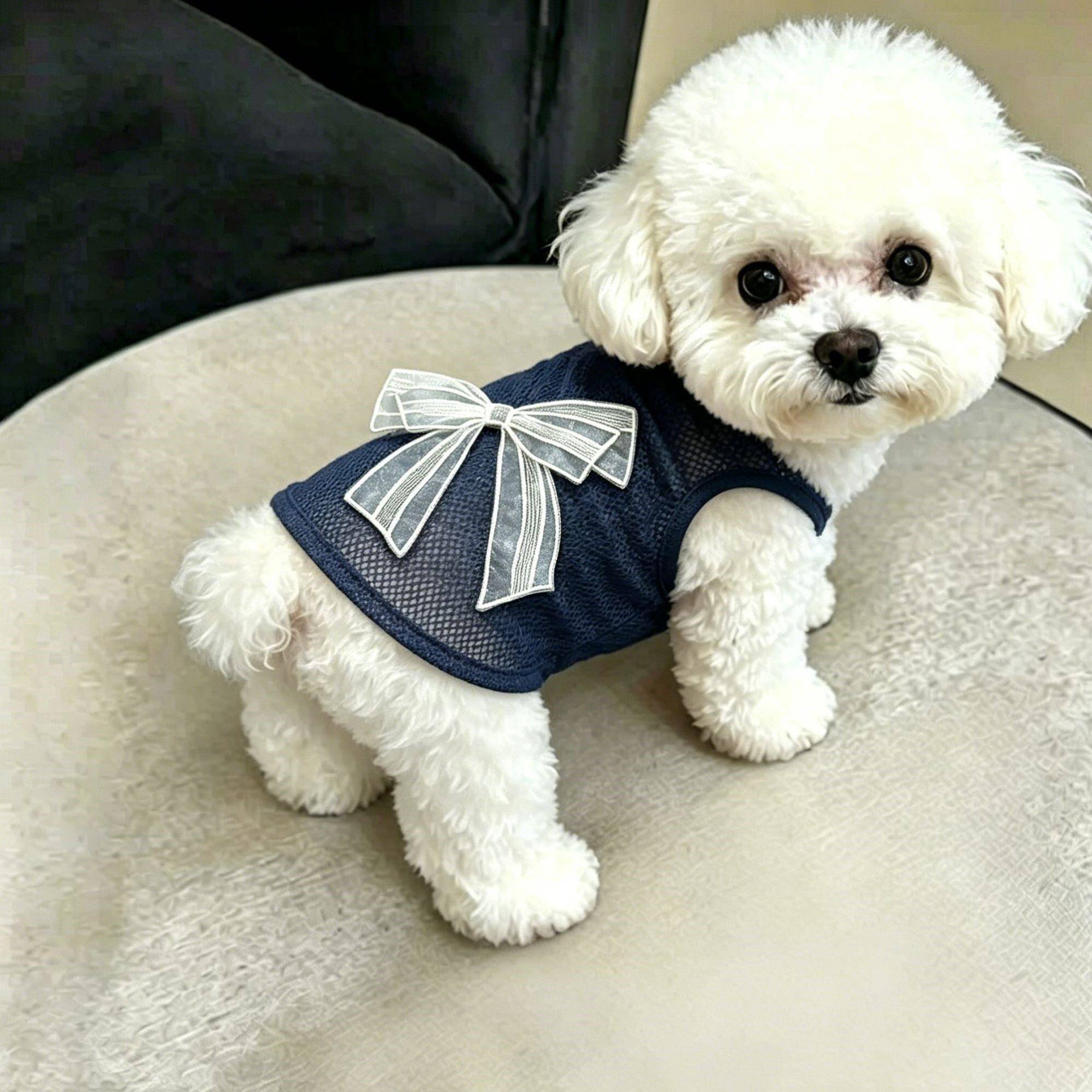 新款春夏可爱小狗衣服彩色背心适用于宠物小型犬猫咪服装