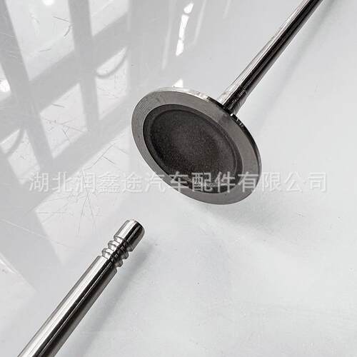 适用雪铁龙C5天逸C6 C3XR标致308 408 508 4008 3008发动机气门