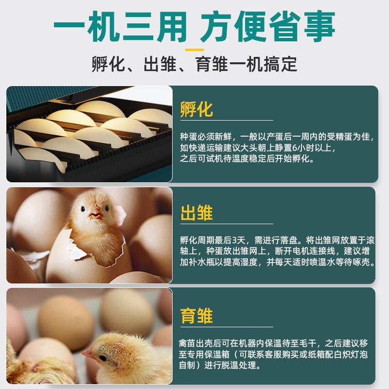 家用孵蛋器小型小房子造型自动翻蛋可孵芦丁鸡鹦鹉等带照蛋功能