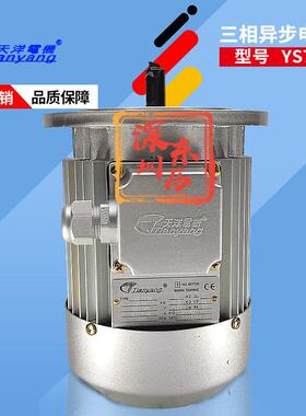 天洋电机YS7134 0.55KW 3~AS.MOTOR NAN HAI TIANYANG 380V马达
