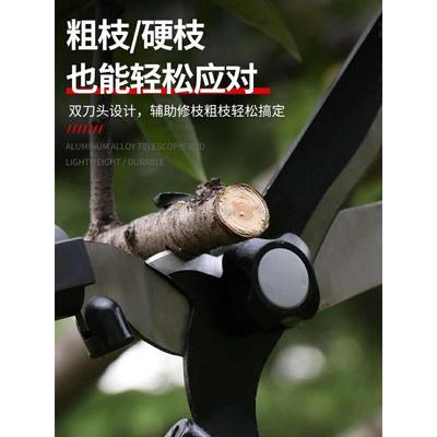 园艺修剪草坪花草树枝绿篱剪绿化工具家用粗枝园林果树大剪刀马小