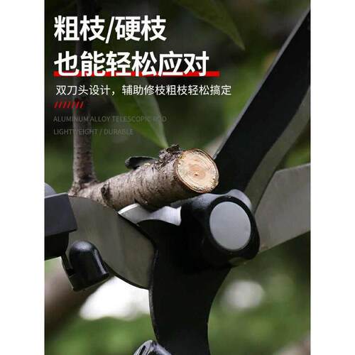园艺修剪草坪花草树枝绿篱剪绿化工具家用粗枝园林果树大剪刀马小