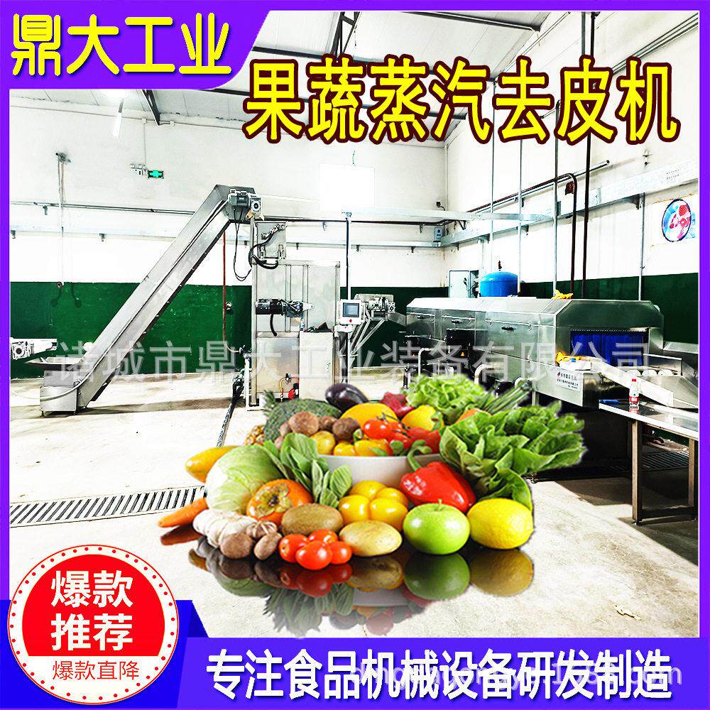 全自动黄桃蒸汽去皮机 无剂环保型 快速去皮不伤果肉支持定制