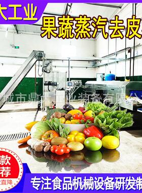 食品厂西红柿苹果土豆胡萝卜蒸汽去皮机黄心猕猴桃大枣脱皮去皮机