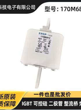 170M6814 170M6815 170M6816低压熔断器 快速熔断器 型号齐全