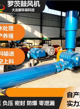 DN65三叶罗茨风机2.2kw氧化池水产养殖增氧机曝气污水处理鼓风机