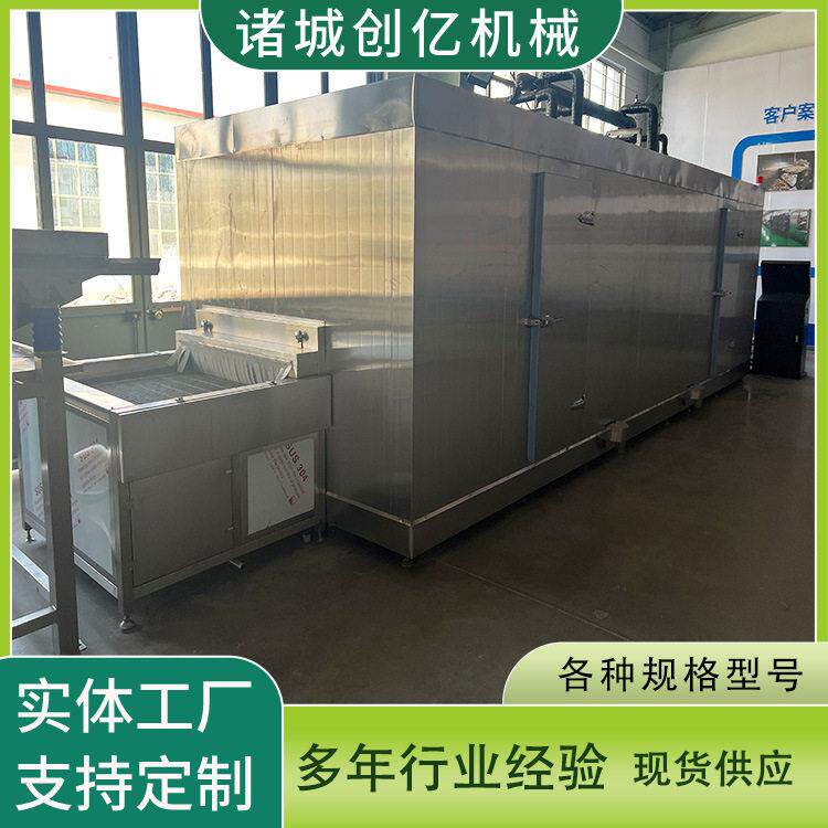 水果隧道速冻机 蔬菜大型速冻机器 冷冻食品加工设备