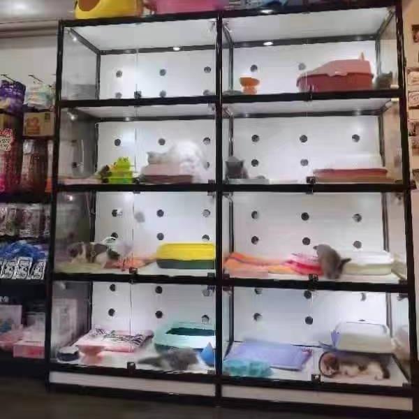 宠物展示柜猫狗笼展柜三层繁育箱子猫咪货架雪貂宠物笼子宠物别墅