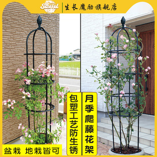 玫瑰架子支撐植物室外鐵藝藤架戶外陽臺支架 花架爬藤架鐵線蓮月季