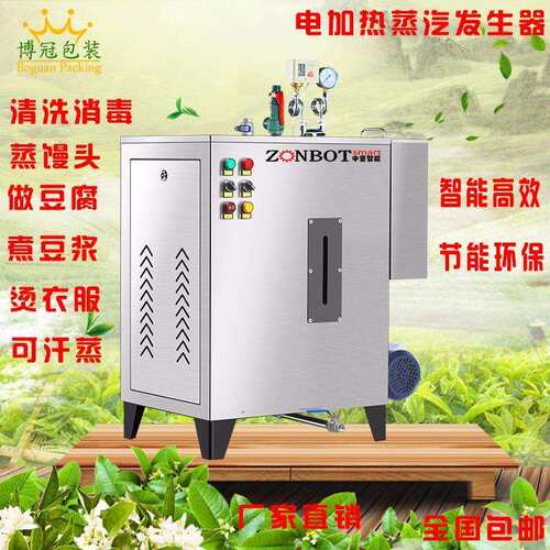 蒸汽发生器节能蒸汽炉蒸汽锅电加热蒸汽发生器商家两用