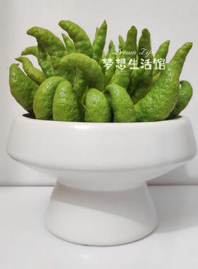 佛手柑托 托盘花瓶水培养佛手器皿专用摆放盘陶瓷花器插花盆栽放