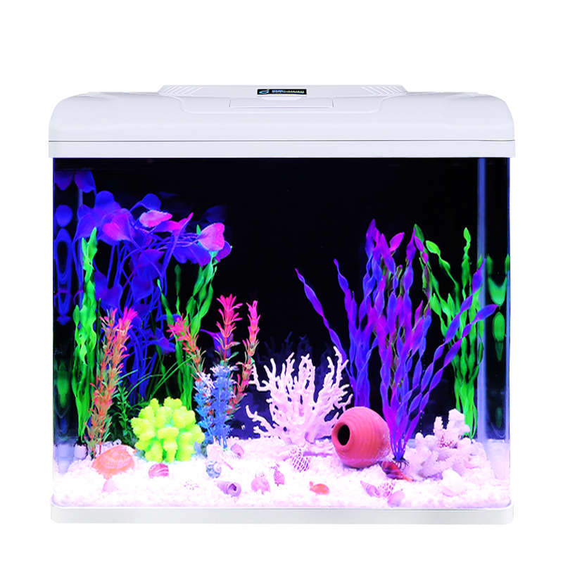 初迪2024自循环金鱼缸玻璃小型桌面客厅家用懒人免换水生态水族箱