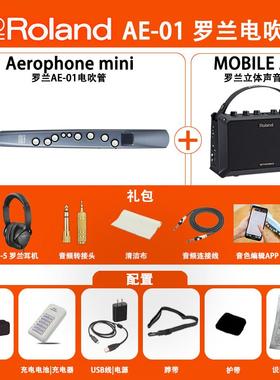 正品R人oland罗兰电管吹电子萨克斯AE-01C AE-05C年初学管老乐民