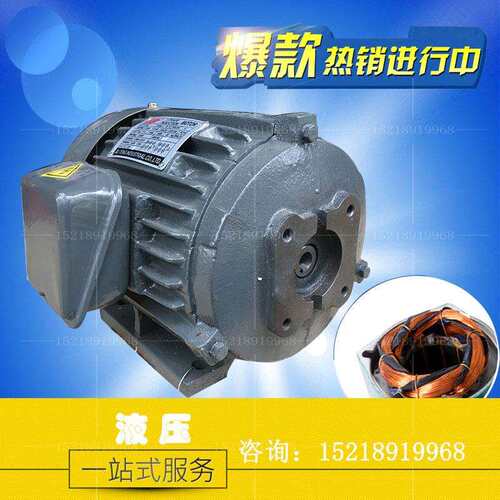 液压卧式内插电机 0.75KW 1.5KW 2.2KW 3.75KW 5.5KW 7.5KW 11KW