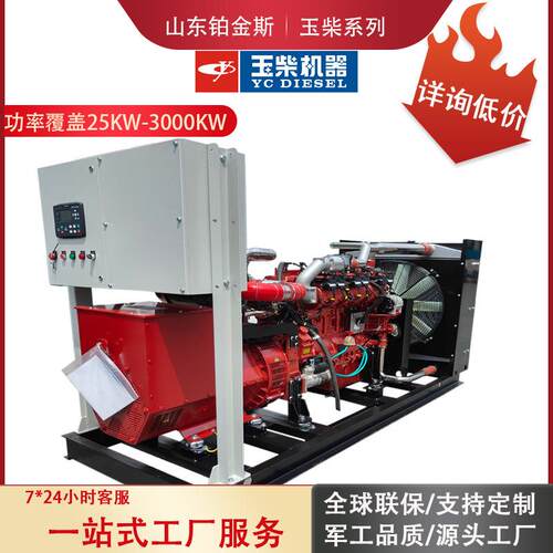 玉柴200kw燃气发电机组出口全铜无刷养殖备用200千瓦燃气发电机