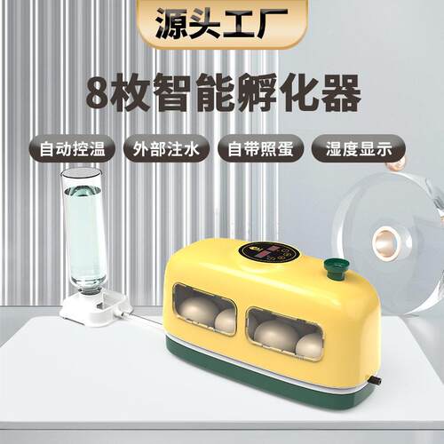 工厂直供8枚小火车鸡蛋孵化器童年教育小鸡孵化机芦丁鸡孵蛋器