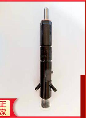 2645K022 2645K012 帕金斯1104C 德尔福油嘴 喷油器总成 真正厂家