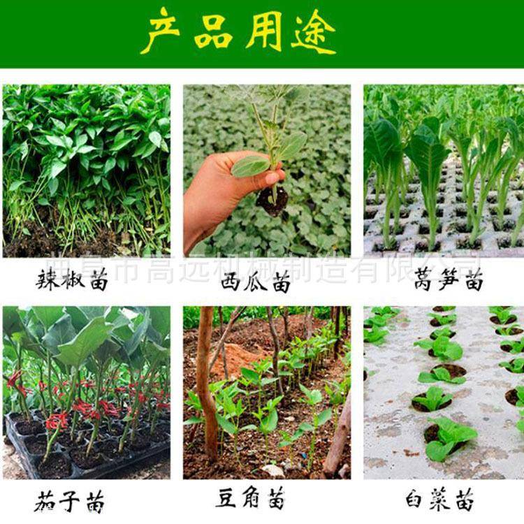 大棚辣椒移栽种植机 蔬菜大棚秧苗种植机 手提移苗机