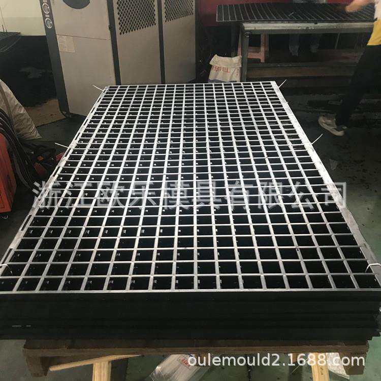 黄岩生产大型PE格栅模具塑料格栅模具黄岩塑料地垫模具制造厂