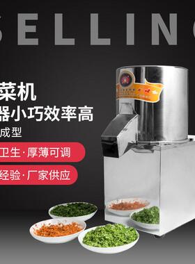 厂家货源商用切菜机电动绞菜机不锈钢碎菜机剁菜碎菜机