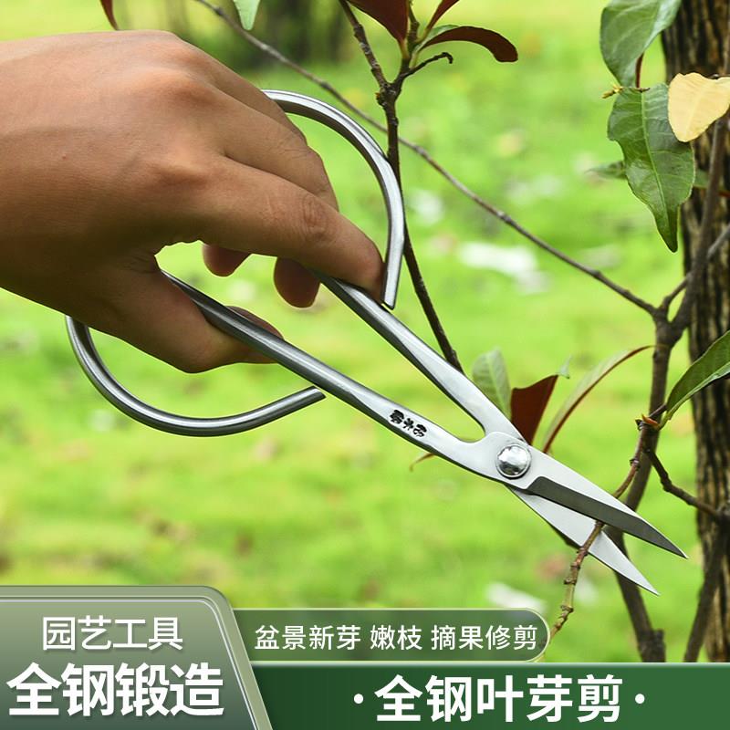 加厚不锈钢园艺剪叶芽剪嫩芽剪刀盆景枝叶剪修枝小枝剪加厚长杆
