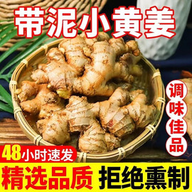 云南小黄姜新鲜生姜农家自种现挖新姜5斤月子姜土姜沙姜食用炒菜3