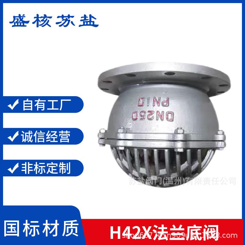 H42X-6C10P16RL国标WCB铸钢04不锈钢16L法兰水泵底阀管道储水逆