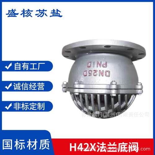 H42X-6C10P16RL国标WCB铸钢04不锈钢16L法兰水泵底阀管道储水逆