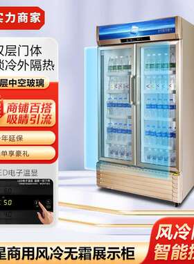 星星LSC-610WD商用展示柜风冷无霜冷藏保鲜冰箱啤酒饮料柜陈列柜