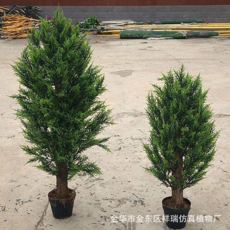 仿真植物柏树枝侧柏树圣诞叶美人松盆栽小柏叶罗汉松盆栽松树销售