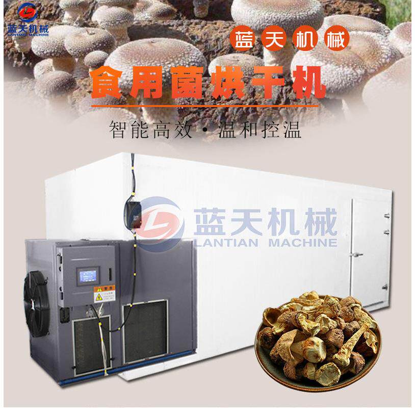 野生菌菇烘干机 菌类干货除湿干燥机 食用菌空气能电烘干设备