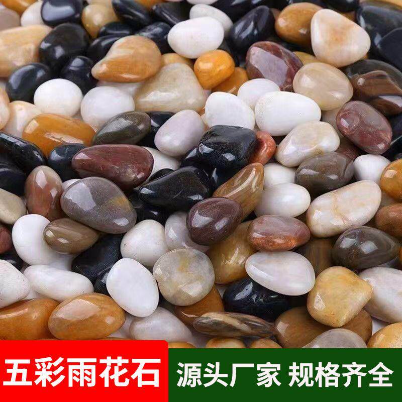 精抛鹅卵石五彩石 园林造景鱼缸花盆水培装饰园林造景铺路雨花石