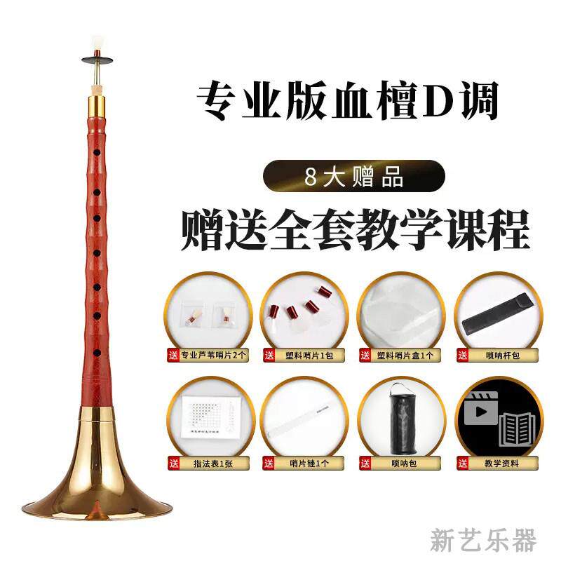 正品新艺 呐间乐全套初学者成人 专唢业演奏型血檀木唢呐D器调 民