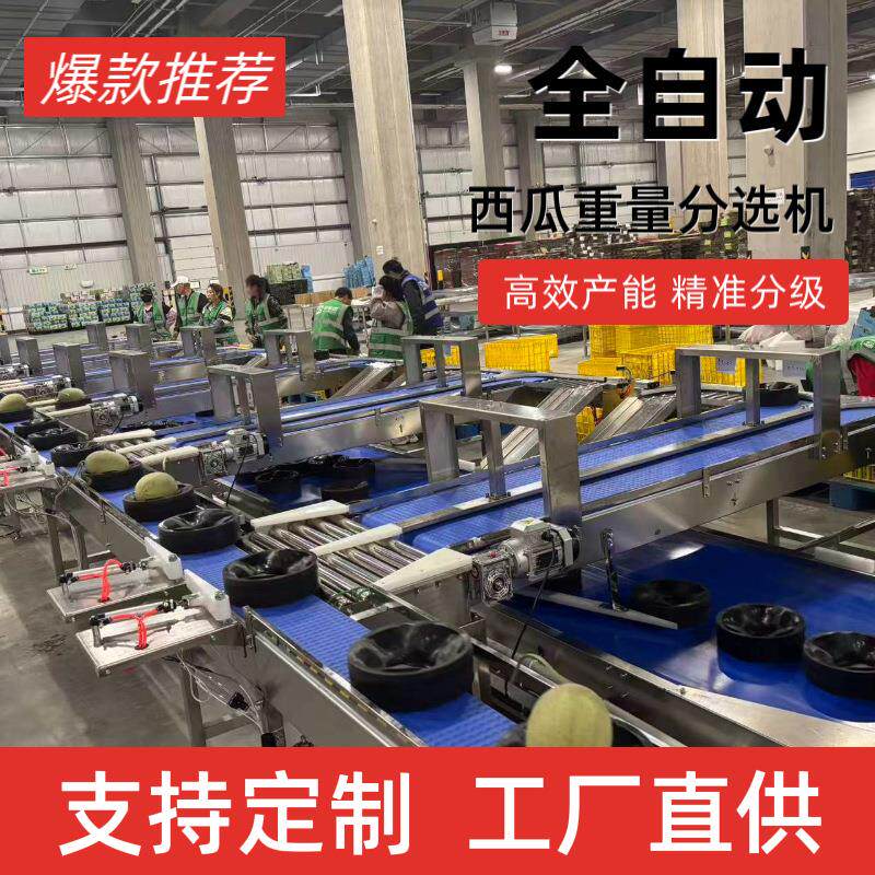 全自动西瓜蜜瓜重量分选机高效精准称果托称重呵护式无损伤分拣机