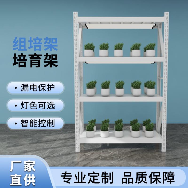 组培架货架植物培养架光照蔬菜育苗架灯架不锈钢架置物仓储