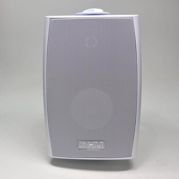 惠威VA5OS-T100定压音响会议背景音乐