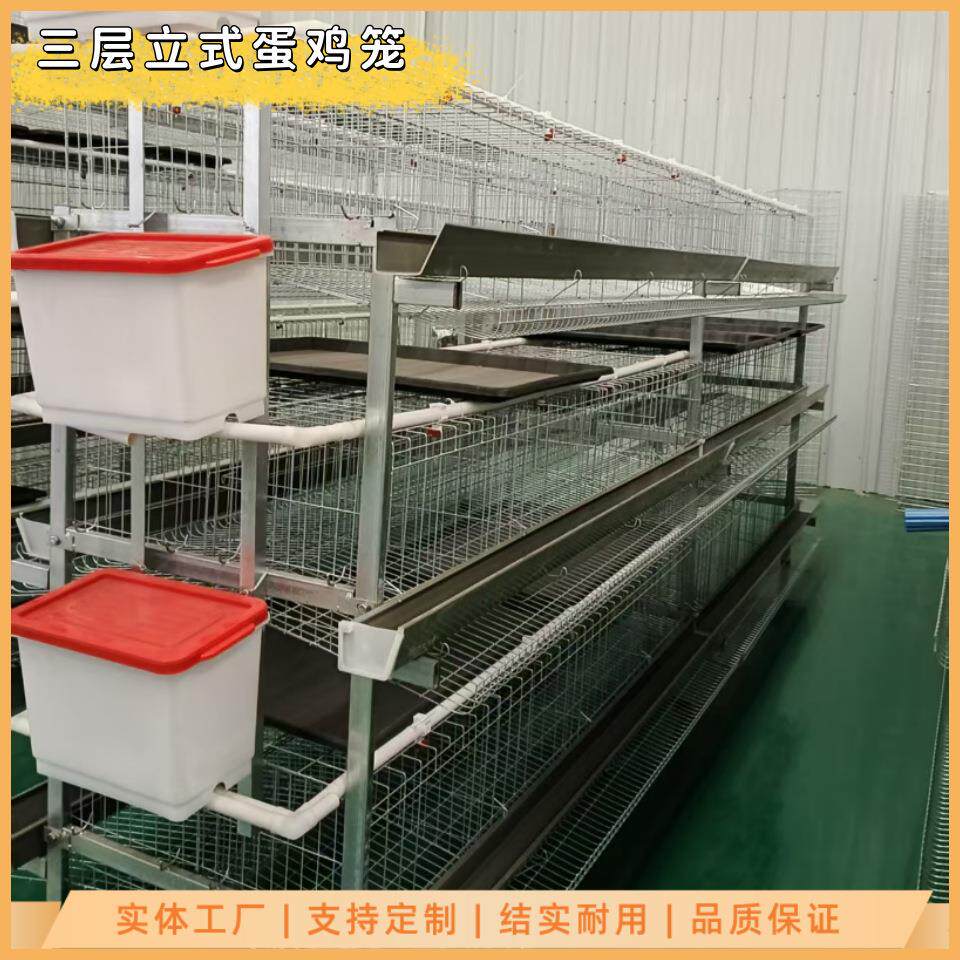 养鸡笼三层立式蛋鸡笼镀锌工艺防锈耐用多规格可选