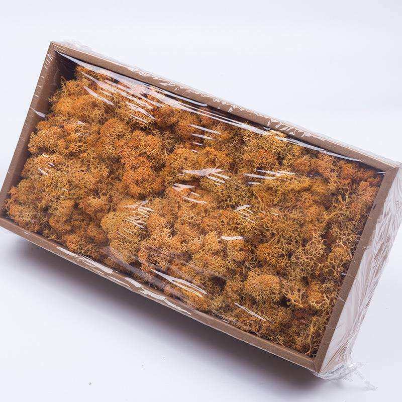 【500克盒装永生苔藓】驯鹿苔藓墙家居装饰材料干花苔藓厂家