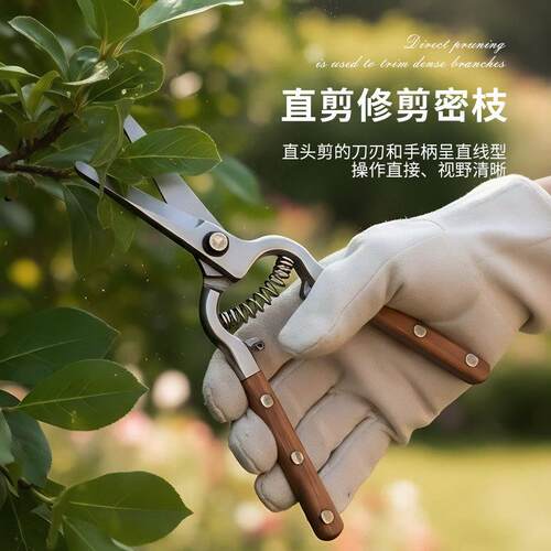 不锈0190园林钢修工枝剪果枝剪户外摘剪果剪园艺果枝剪稀果园树林