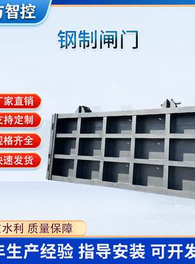 钢制闸门按需生产平板渠道钢闸门水利枢纽闸门水库河道用闸门