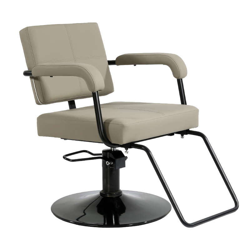 网红美发椅子发廊专用高档理发椅子剪发椅子理发椅升降旋转烫染椅