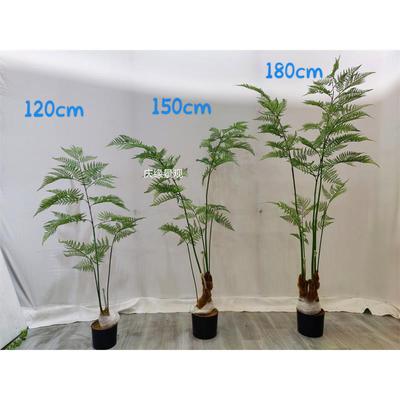仿真蕨树盆栽金丝猴蕨树绿植假树室内落地厥树北欧仿生植物造景