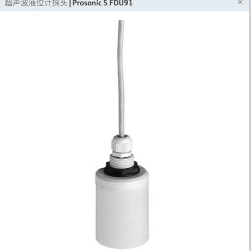 E+H恩德斯豪斯 FDU91-RG2AA FDU91-RG1AA超声波传感器液位计探头