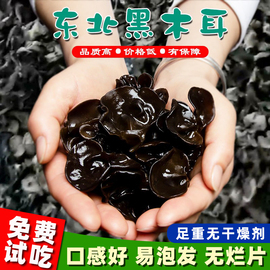 东北黑木耳干货500g级椴木中朵秋耳特产肉厚无根非野生碗云耳