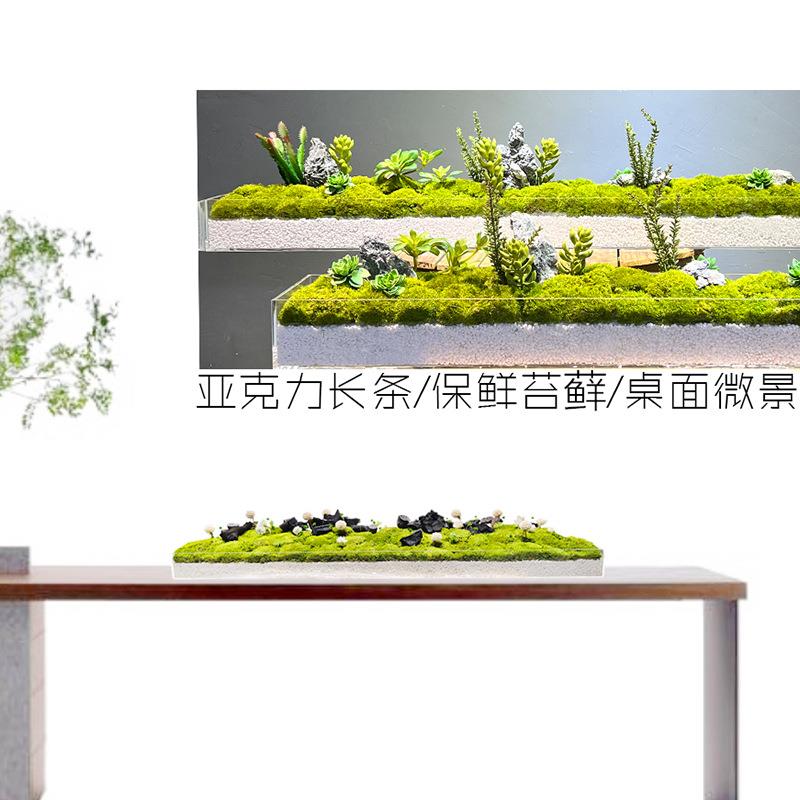 现代亚克力苔藓微景观山石盆景办公室会议桌茶几长条桌样板间软装