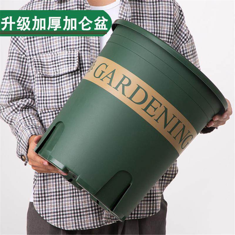 控根加仑盆控根盆栽多肉绿萝月季种植育苗塑料二代花盆厂家直销