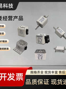 170m4609170m4611170m4612170m4610 170m4613熔断器 170m4608