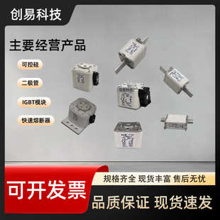 170M4612 170M4608 170M4611 170M4610 170M4613熔断器 170M4609