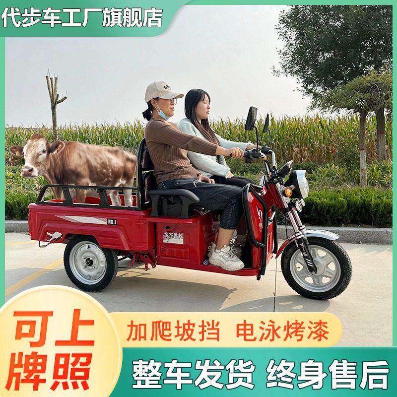 小巴士电动三轮车三轮电动车电动车子家用摆摊山区专用农用三蹦子
