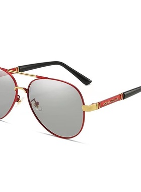 太阳镜蛤蟆镜偏光男士太阳眼镜